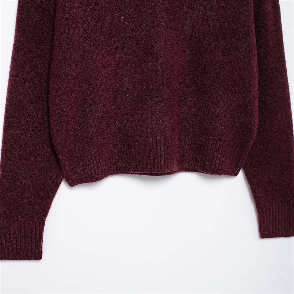 Vivian | Burgundy sweater with a high collar