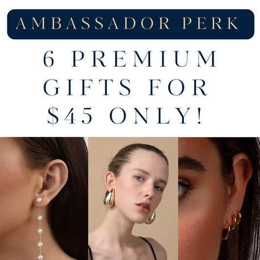 Botschafterpaket: Zahlen Sie 45 $ und erhalten Sie 6 Schmuckstücke und Sonnenbrillen kostenlos!